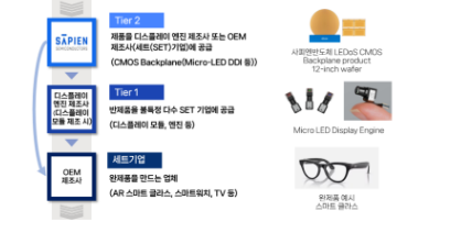 사피엔반도체 관련 마이크로 LED 디스플레이 공급망. 〈자료 사피엔반도체 제공〉