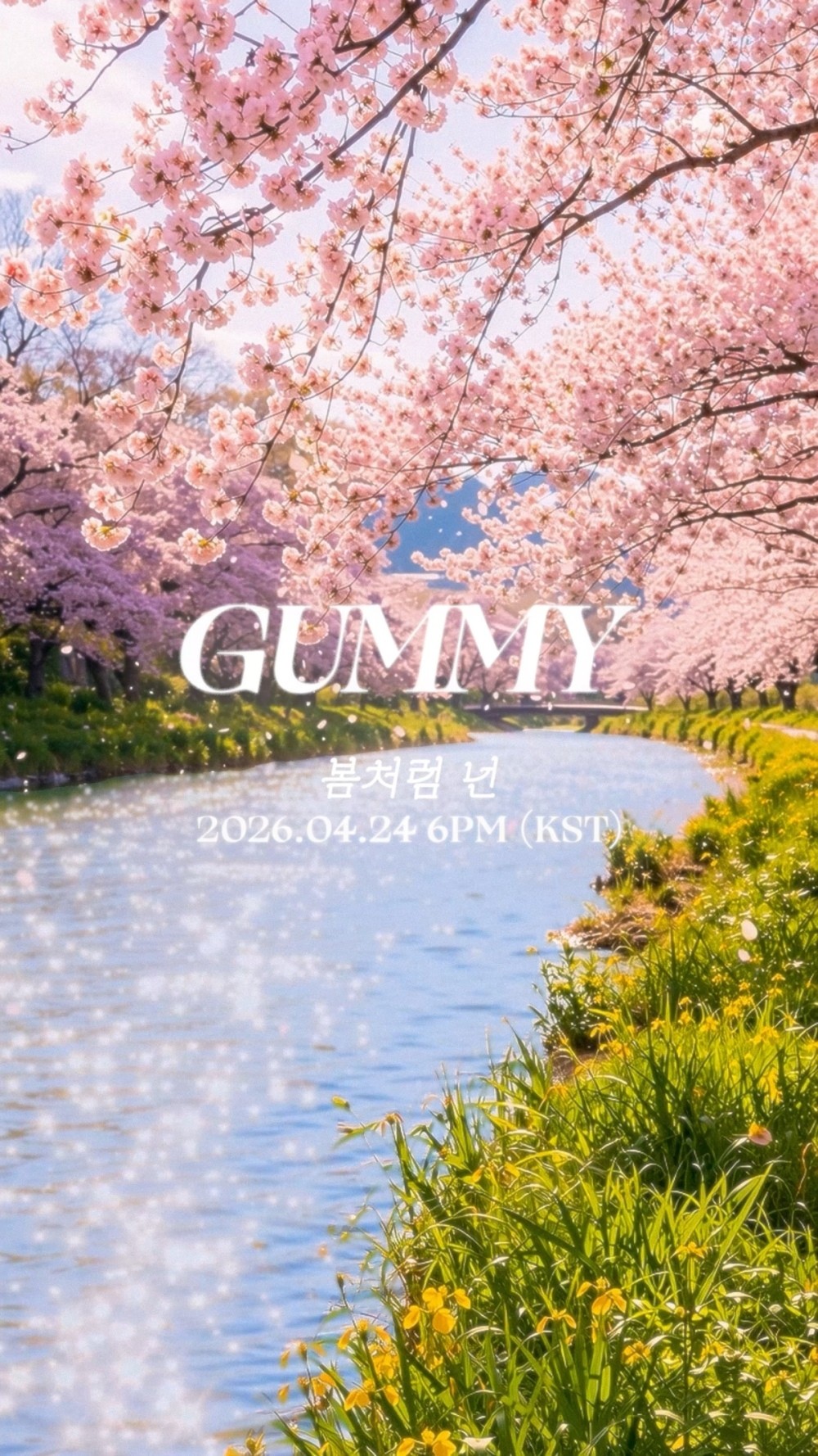 사진=아메바컬쳐