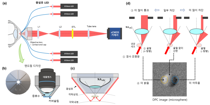 각막 신경 및 면역세포 영상화를 위한 차등 위상 대비(DPC) 기반 광학 영상 시스템 개략도. (김기현 교수)