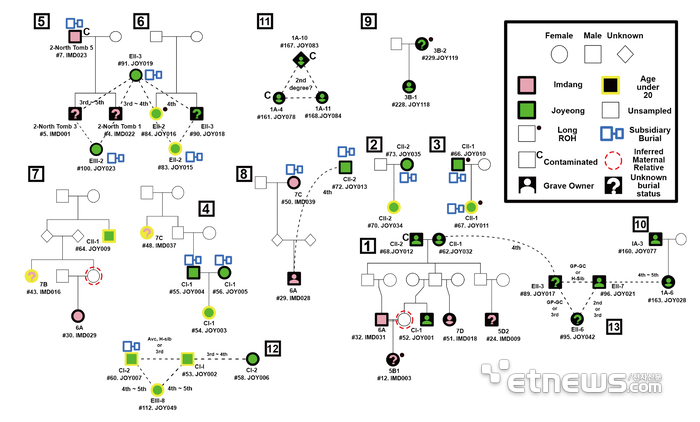 DNA 분석을 통해 본 임당동·조영동 고분군 피장자들의 친족 관계