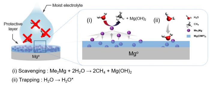 마그네슘 금속 음극 보호층의 능동적 수분 제거 메커니즘