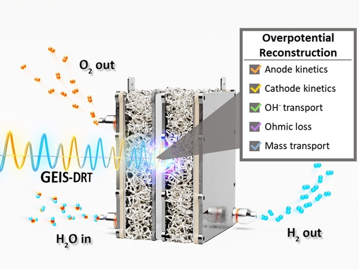 전기화학 임피던스 분광법 및 분포형 완화시간 분석을 이용한 음이온 교환막 수전해 과전압 분리 분석 모식도.