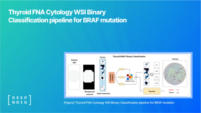 갑상선 세침흡인세포검사(FNA) 세포 디지털 이미지를 이용해 BRAF 돌연변이를 분류하는 과정.(사진=딥노이드)