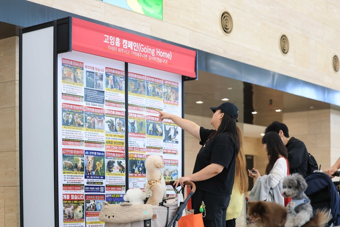 봄기운 만연한 4월엔 반려동물과 함께 즐기는 '마이펫페어 송도', 4월 17일 개막