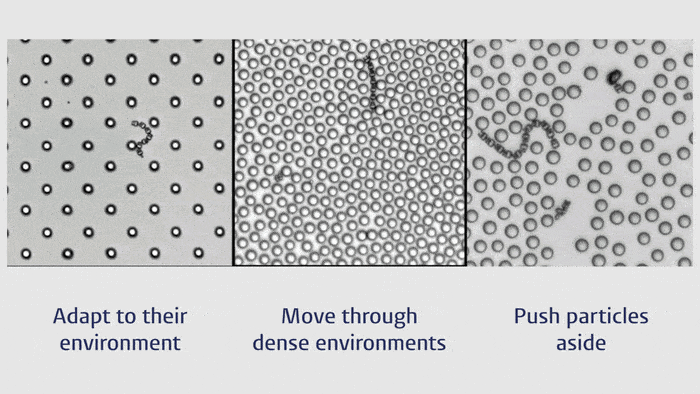 환경과 상호작용하며 움직이는 마이크로봇 / Leiden Institute of Physics 유튜브