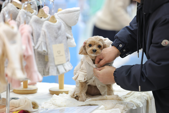 봄기운 만연한 4월엔 반려동물과 함께 즐기는 '마이펫페어 송도', 4월 17일 개막