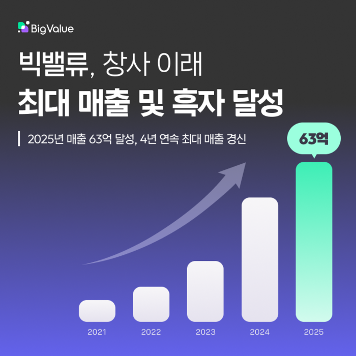 〈자료 빅밸류〉