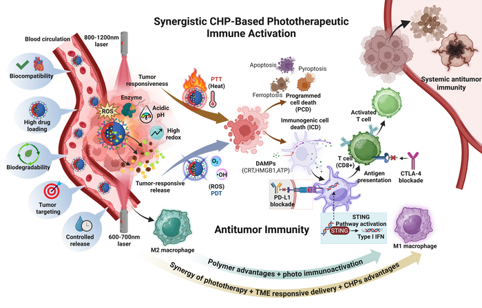 다당류 고분자 기반 차세대 암 광면역치료 로드맵 .