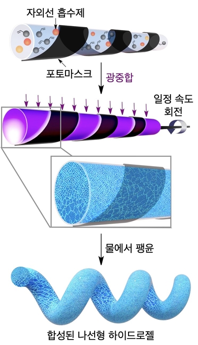 나선형 하이드로겔 합성 공정 모식도