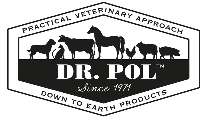 [마이펫페어] hy 큐토펫, '마이펫페어 송도' 참여… 제품 공개와 서비스 체험 행사로 고객 접점 확대