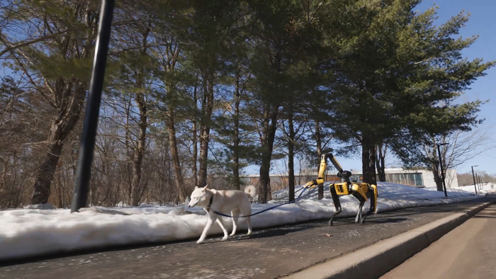 강아지 산책시키는 보스턴다이내믹스 '스팟' / 유튜브 @BostonDynamics