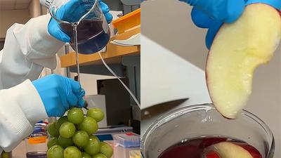 주요행사 이미지