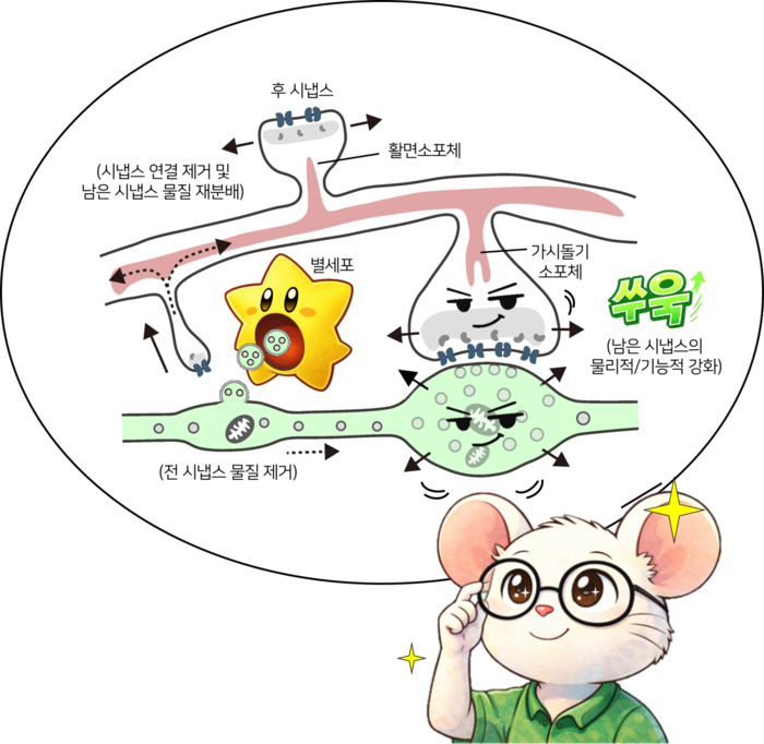 신트로고 기술 모식도