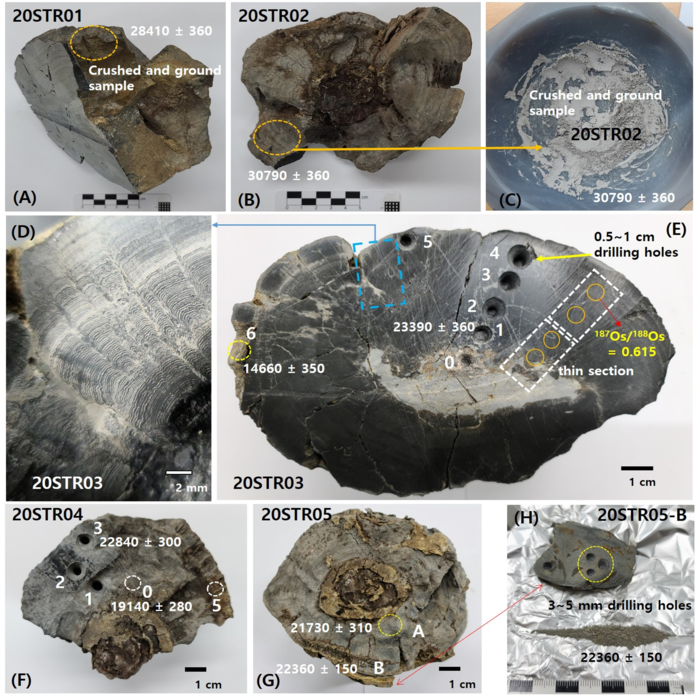 합천 운석충돌구에서 발견한 스트로마톨라이트 샘플