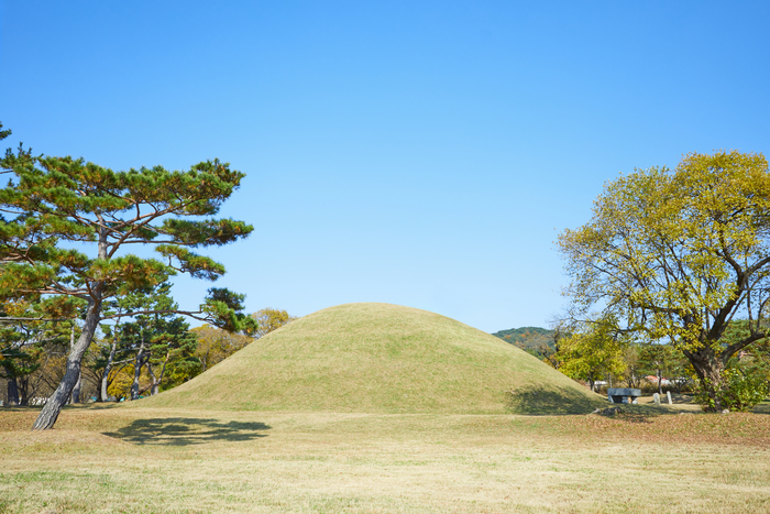 중국에서 한 여성이 2년 넘게 다른 사람의 묘를 조상 묘로 착각해 돌봐온 사연이 뒤늦게 알려지며 화제가 되고 있다. (사진은 기사 내용과 무관) 사진=게티이미지