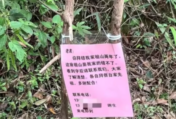 중국에서 한 여성이 2년 넘게 다른 사람의 묘를 조상 묘로 착각해 돌봐온 사연이 뒤늦게 알려지며 화제가 되고 있다. 사진=SCMP