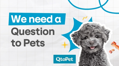 hy, 반려동물 플랫폼 '큐토펫' 론칭