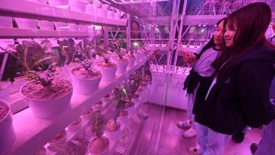 기사 썸네일