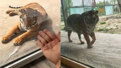 주요행사 이미지