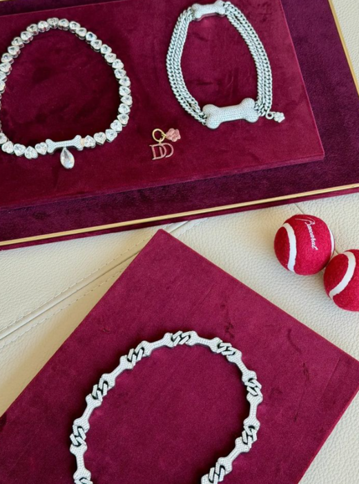 뉴욕의 상류층을 겨냥한 반려동물용 고급 액세서리가 등장했다. 사진=바카라 호텔 뉴욕