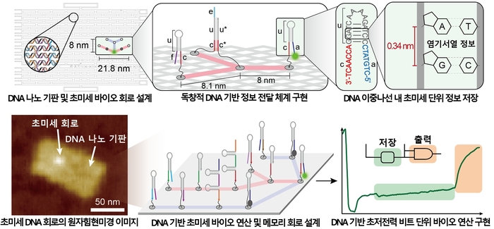 DNA 기반 초미세·초저전력 연산이 가능한 바이오 메모리 회로 구현 설명도
