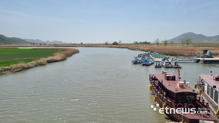 기후에너지환경부 출입기자단은 지난 21일 순천만 생태체험선을 타고 30분간 6㎞를 왕복하며 갈대밭 생태현장을 취재했다.