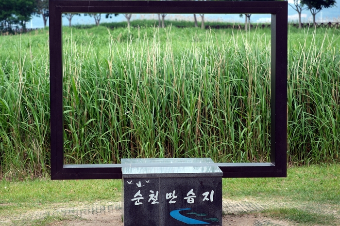 전남 순천만 습지. 사진 출처 : 기후에너지환경부