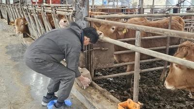 기사 썸네일
