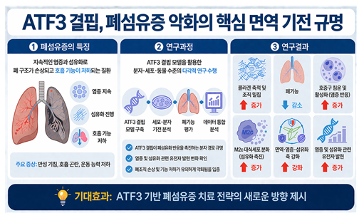 질병청, 폐섬유화 억제 유전자 기전 규명…신치료 전략 제시