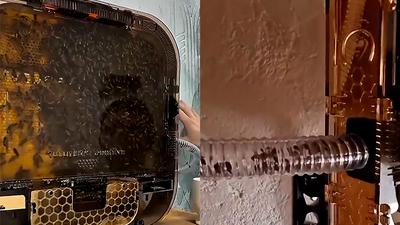 주요행사 이미지