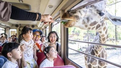 기사 썸네일