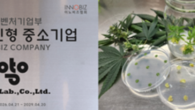 기사 썸네일