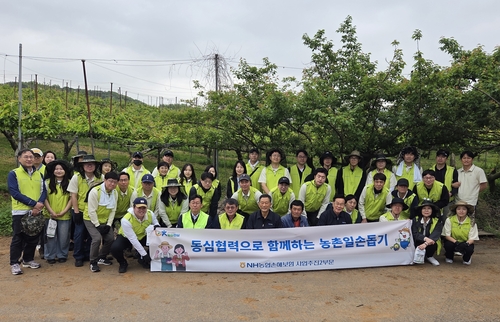13일 경기 김포시 배 농가에서 NH농협손해보험 헤아림봉사단 임직원들이 일손돕기 활동 기념촬영을 하고 있다.(사진=농협손해보험)