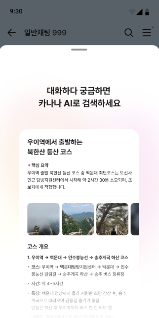 카나나 검색 활용 장면 〈자료 카카오〉
