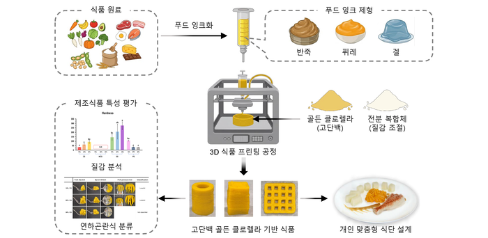 KIST, '3D 식품 프린팅' 구현...삼킴 능력 맞춰 점도·탄성 정밀 조절
