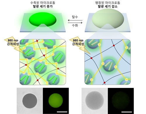 수분에 따라 밝기가 달라지는 발광소재의 구조