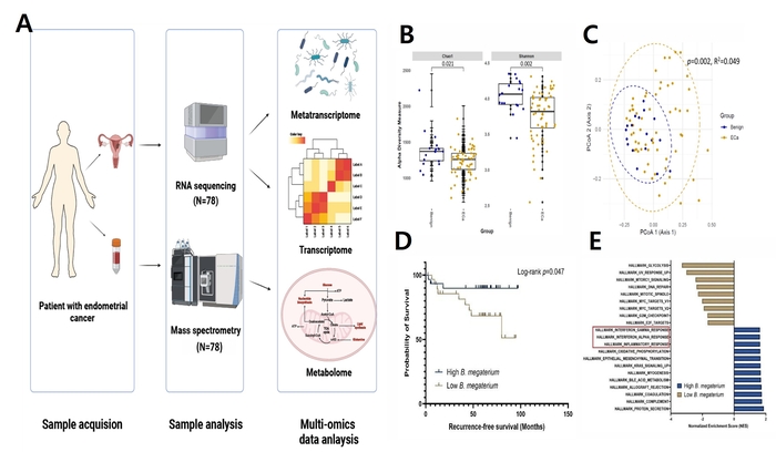 다중오믹스 기반 유익 미생물(BM) 규명 과정도.