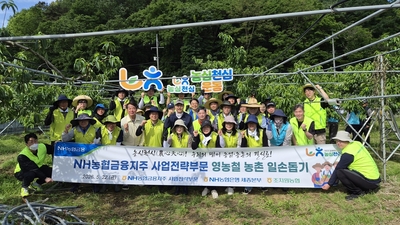 기사 썸네일