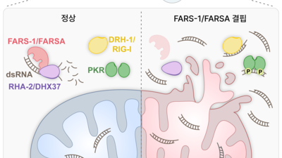 기사 섬네일