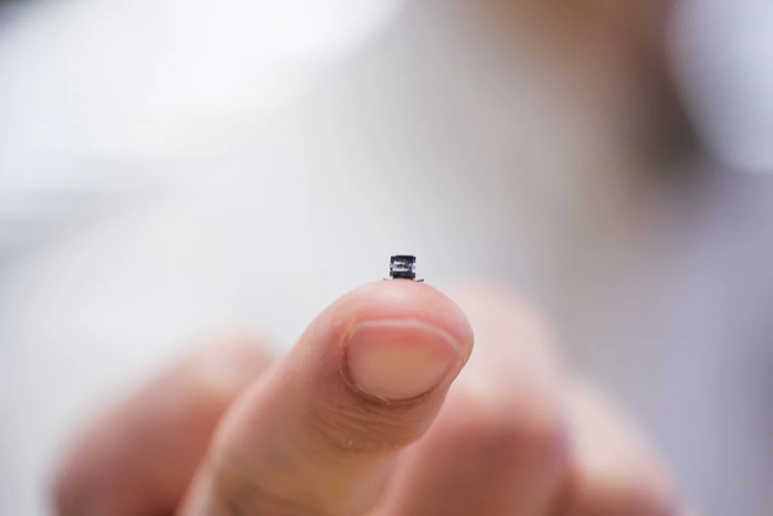 수술 관련 기능을 수행할 수 있는 다기능 의료 로봇. 길이 4.4mm 크기로 제작됐다. / Nanyang Technological University