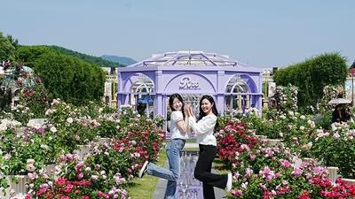 기사 썸네일