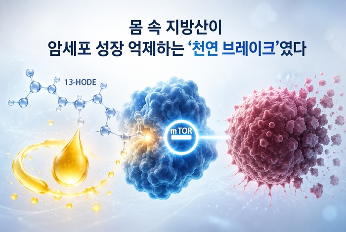 리놀레산 유래 13-HODE의 mTOR 직접 저해 기반 암세포 성장 억제 효과. (AI 생성 이미지)