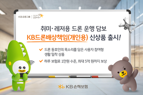 자료=KB손해보험
