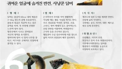 기사 썸네일