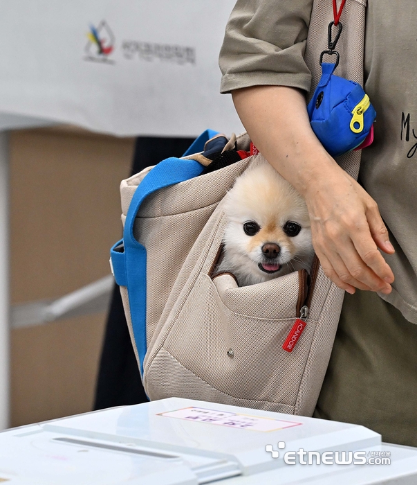 [포토] '투표하러 왔다개'