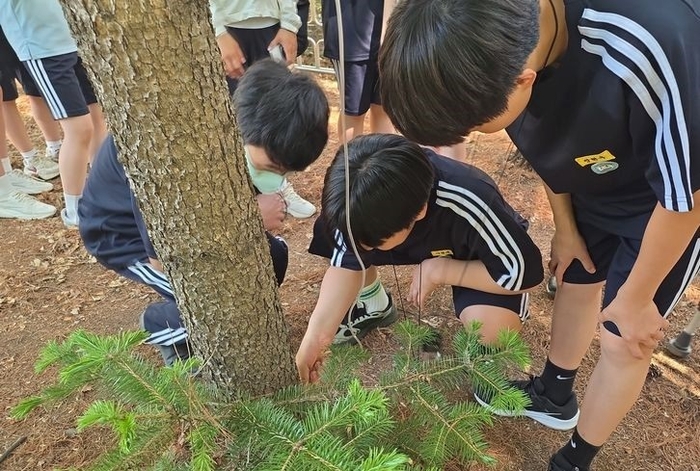 경기도 용인A중학교 학생의 중력식 수간주사 실습 모습. 사진=한국수목치료기술자협회