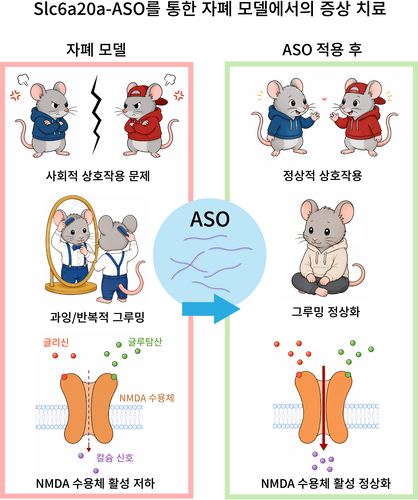Slc6a20a-ASO에 의한 자폐 스펙트럼 장애 모델의 증상 치료