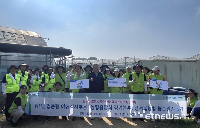 NH농협은행 여신심사부문은 12일 농협중앙회 경기본부, 남서울농협과 함께 경기도 화성시 서신면 용두리 소재 포도 농가를 찾아 영농철 일손을 도왔다. [사진= NH농협은행 제공]