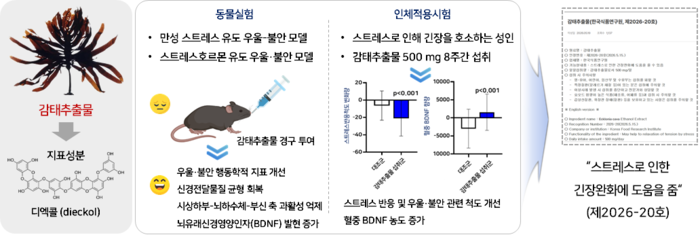 감태추출물의 기능성 효과