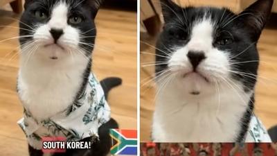 기사 섬네일